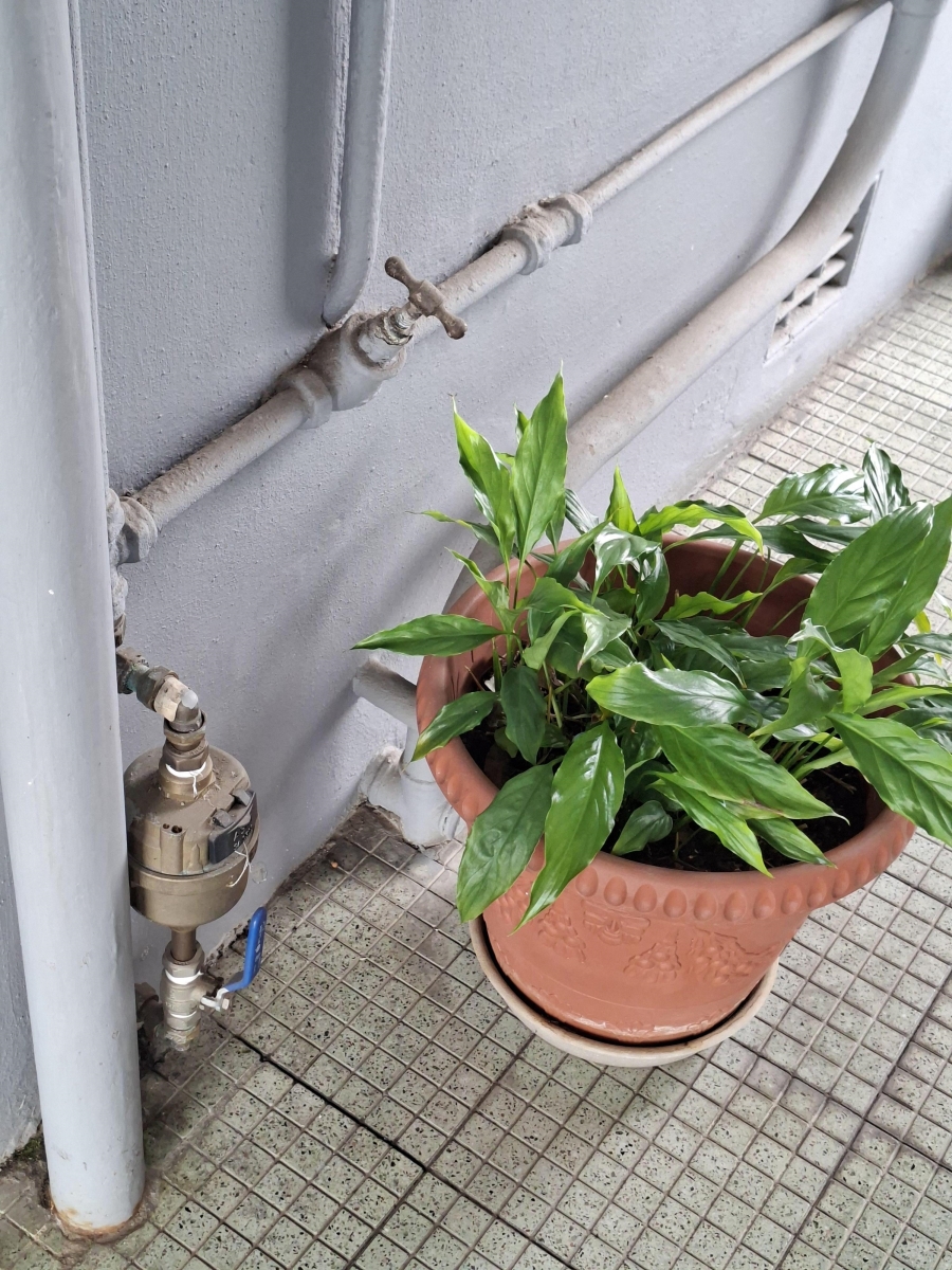 2 Bedroom Property for Sale in Uitenhage Central Eastern Cape